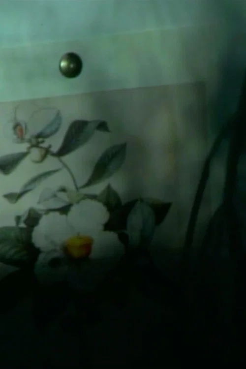 out of touch (franklinia still life) постер