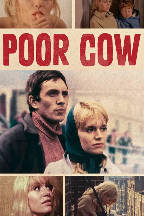 Poor Cow постер