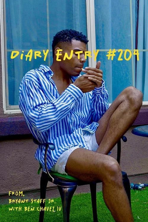 Diary Entry #204 постер