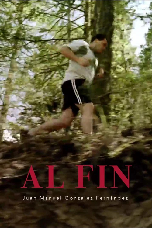 Al Fin постер
