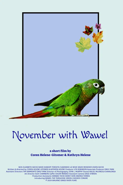 November with Wawel постер
