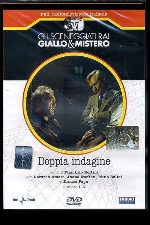 Doppia Indagine постер