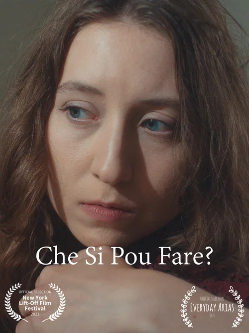 Che Si Può Fare? постер