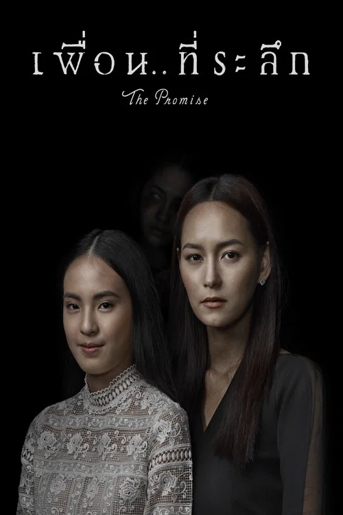 เพื่อน..ที่ระลึก постер