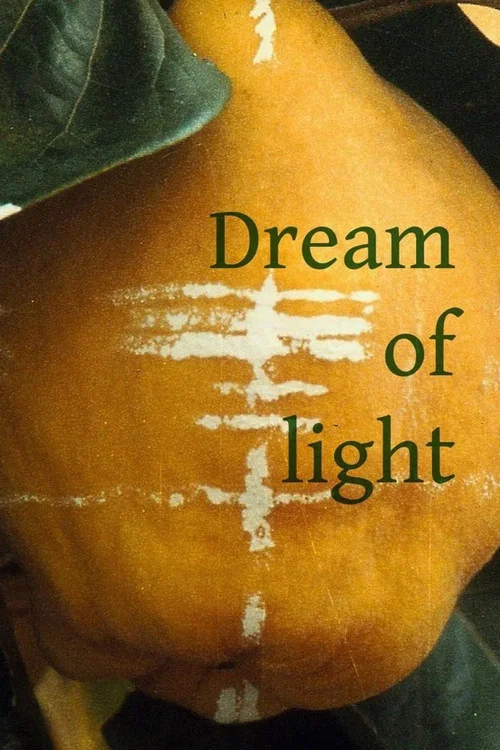 Dream of Light постер