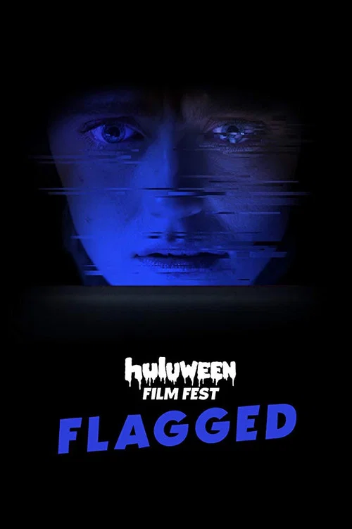 Flagged постер