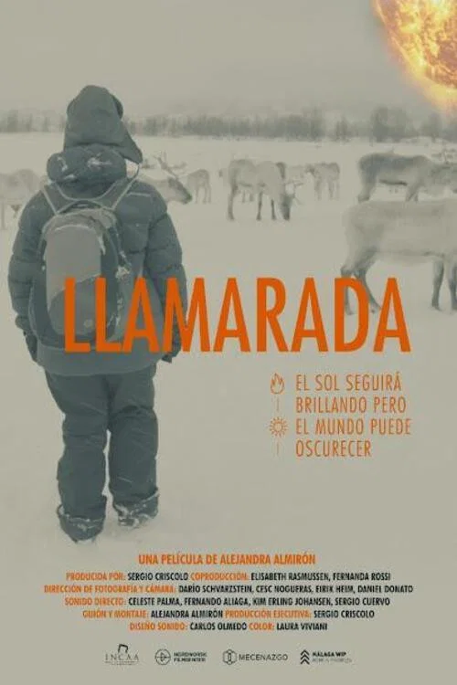 Llamarada постер