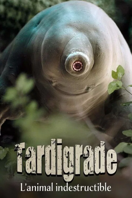Tardigrade, l'animal indestructible постер