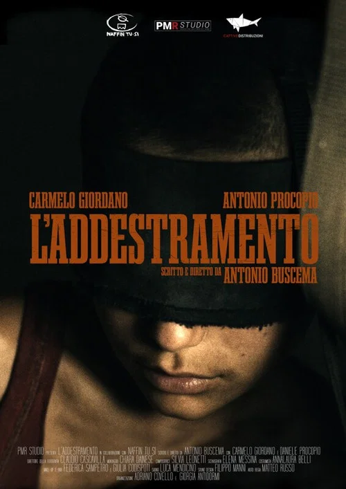 L'addestramento постер