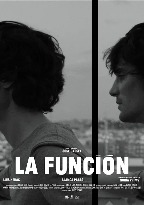 La Función постер