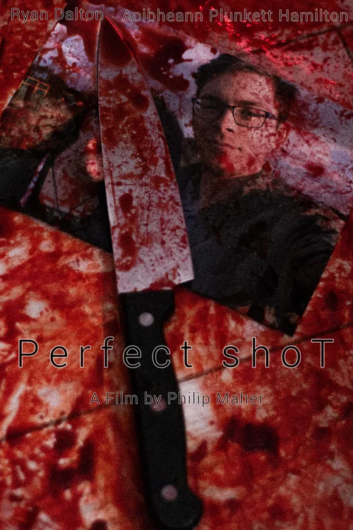 Perfect shoT постер