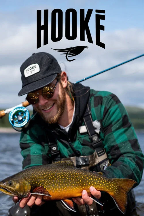 Hooké постер