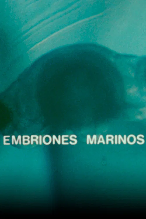 Embriones Marinos постер
