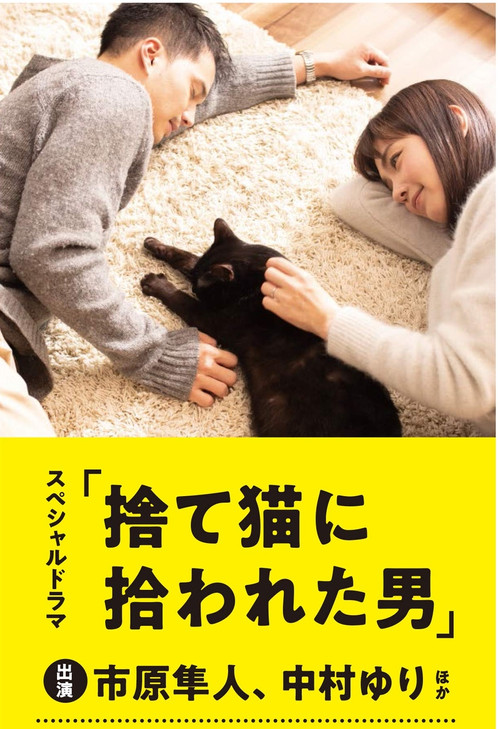 捨て猫に拾われた男 постер