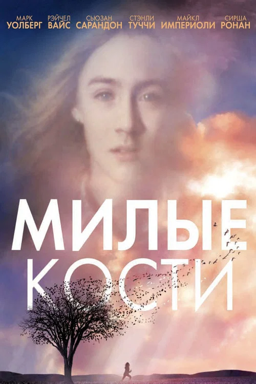Милые кости постер