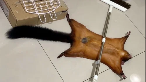 Эпизод 4