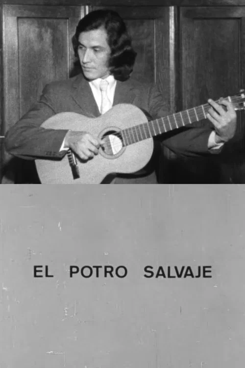 El potro salvaje постер