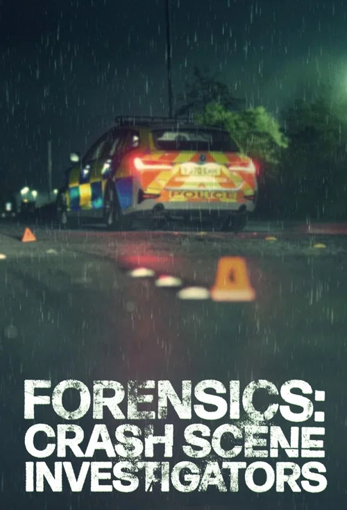 Forensics: Crash Scene Investigators постер