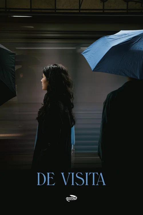 DE VISITA постер