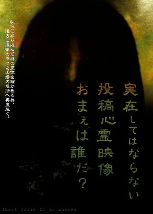 実在してはならない…投稿心霊映像 お前は誰だ？ 心霊映像は伝染する。 постер