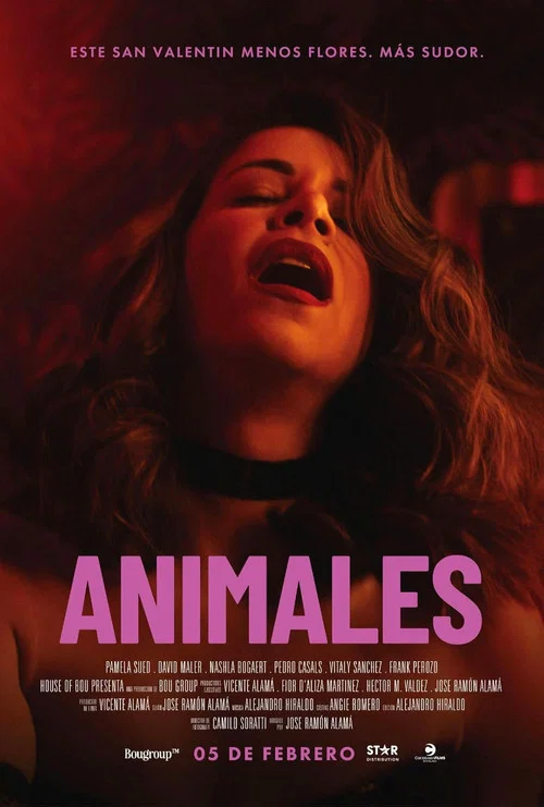 Animales постер