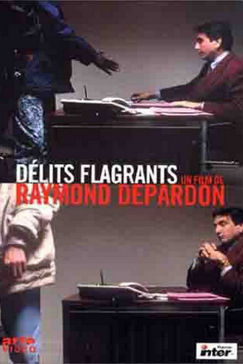 Délits flagrants постер
