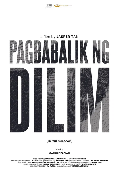 Pagbabalik ng Dilim постер
