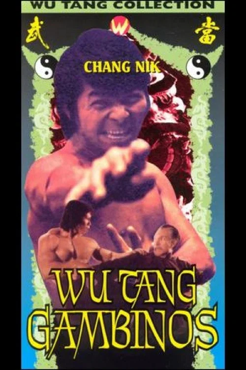 龍家將 постер