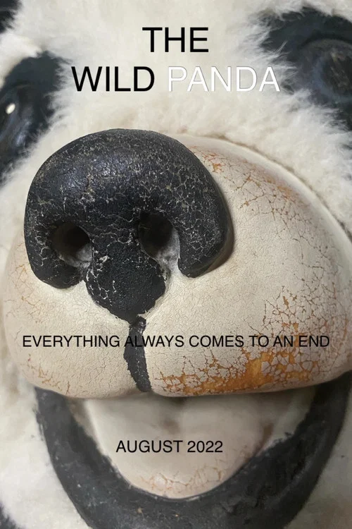 The Wild Panda постер