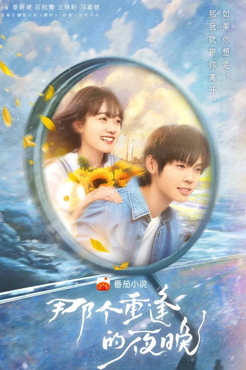 那个重逢的夜晚 постер