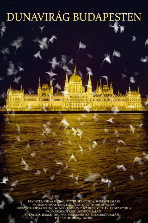 Dunavirág Budapesten постер