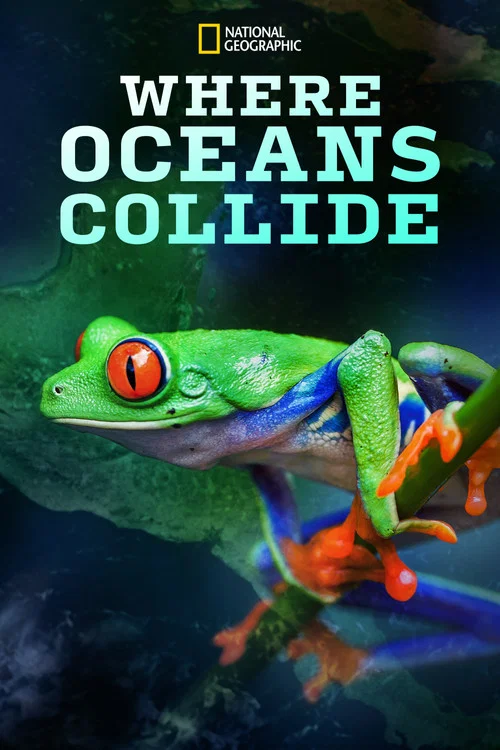 Where Oceans Collide постер