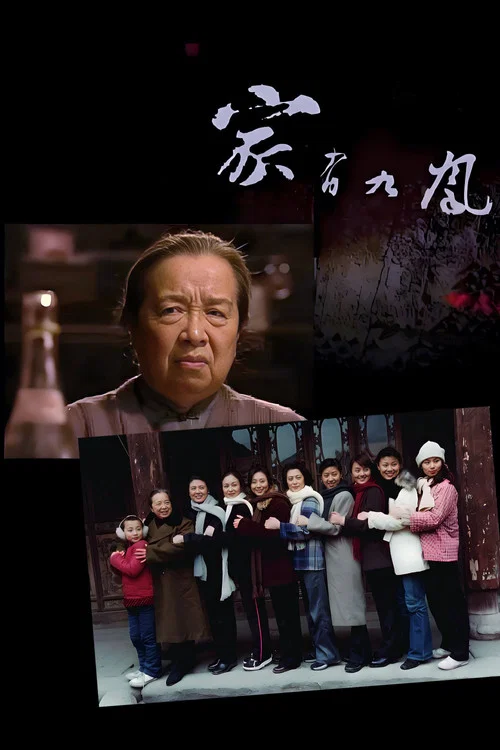家有九凤 постер
