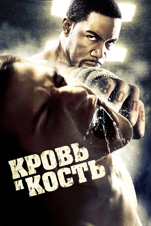 Кровь и кость постер