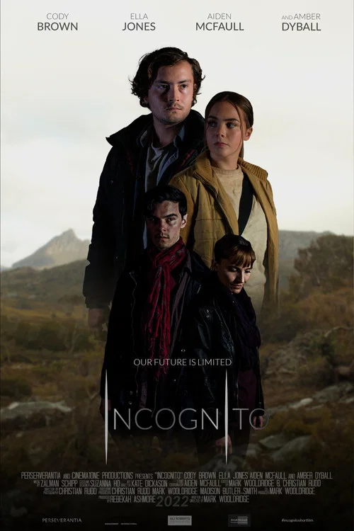 Incognito постер