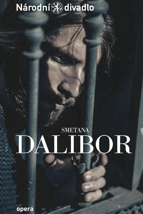 Dalibor постер