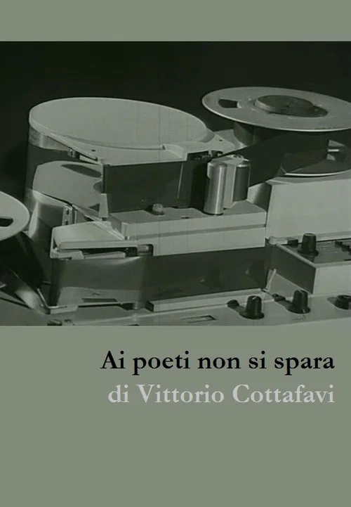Ai poeti non si spara постер