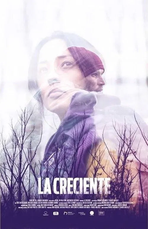La creciente постер