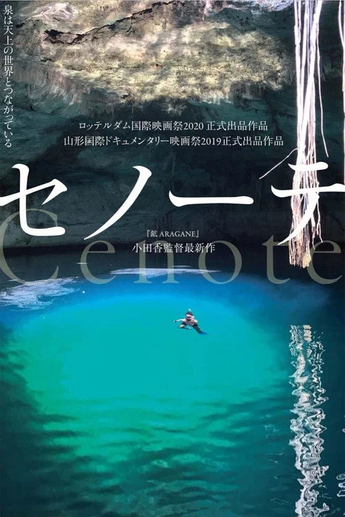 セノーテ постер