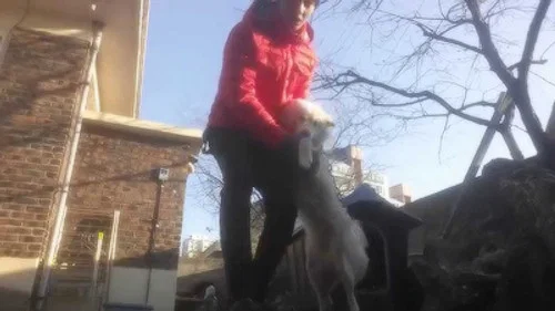 Эпизод 9