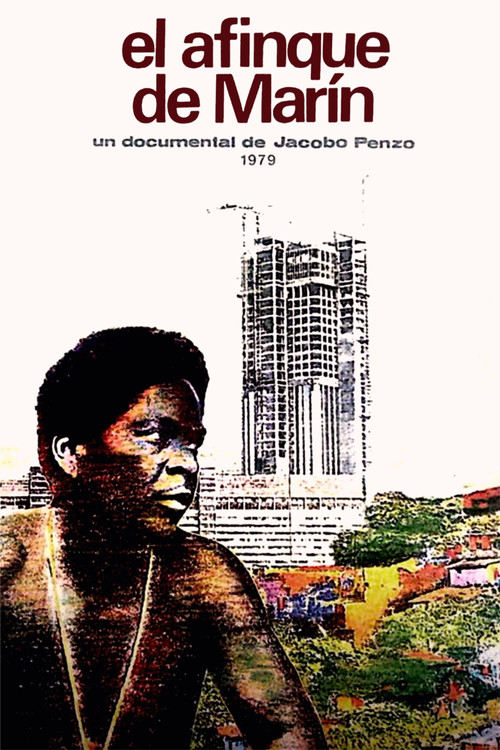El afinque de Marín постер