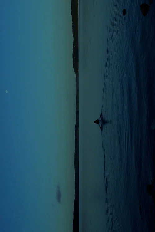 THE WATERS постер