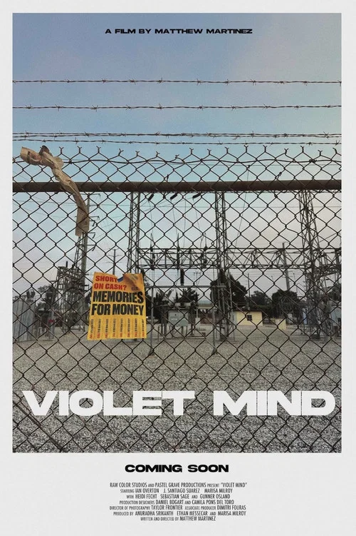 Violent Mind постер