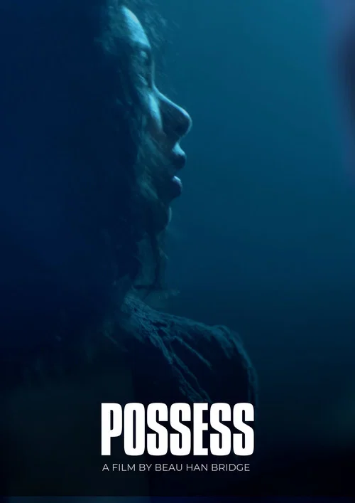 Possess постер