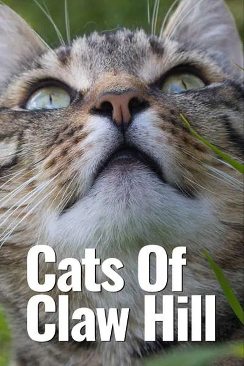 Cats of Claw Hill постер