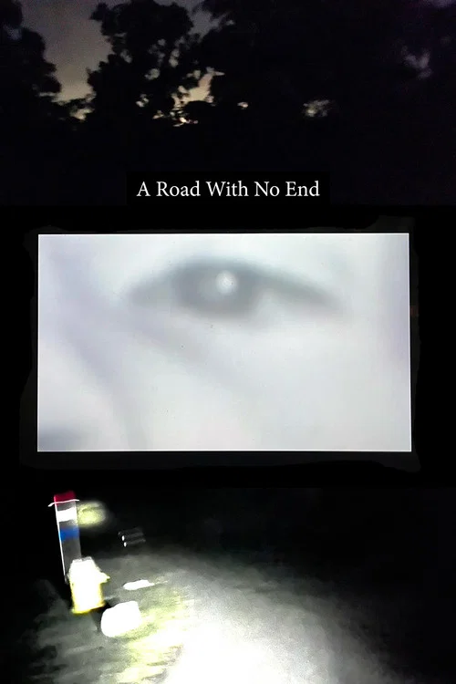 A Road With No End постер
