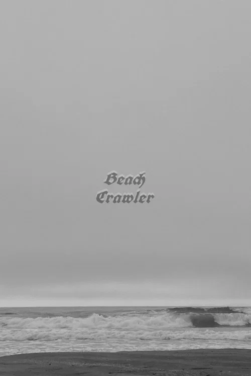 Beach Crawler постер