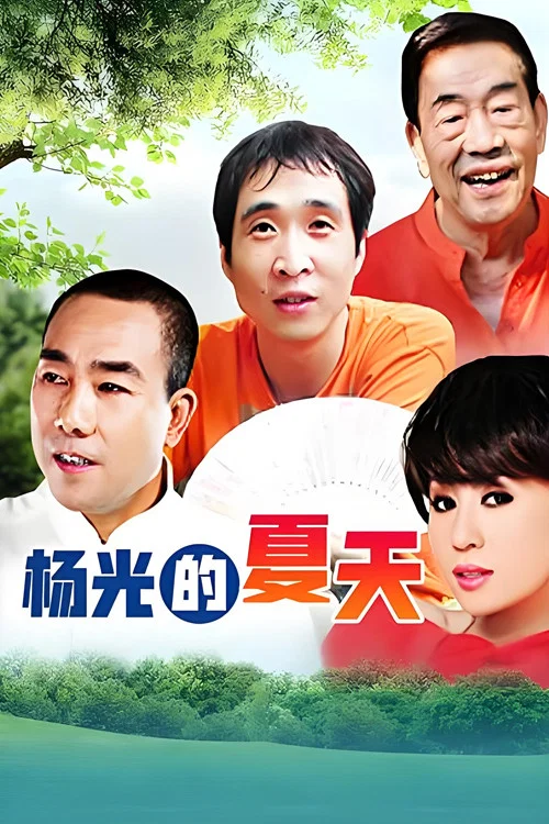 杨光的夏天 постер
