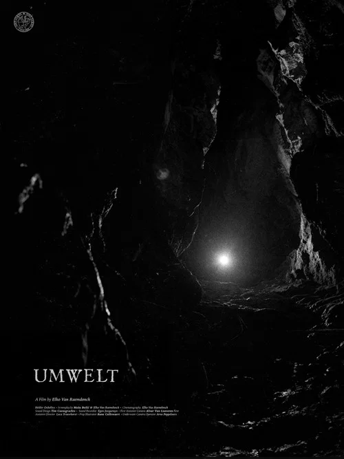 Umwelt постер
