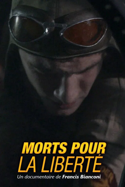 Morts pour la liberté : Le tragique destin du vol « C Charlie » постер